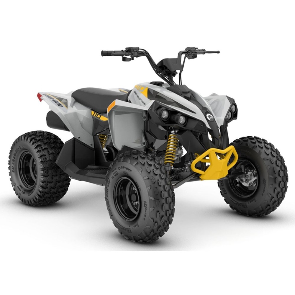 Can-Am Renegade 110 EFI INT '25
