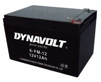 Dynavolt 6-FM-12